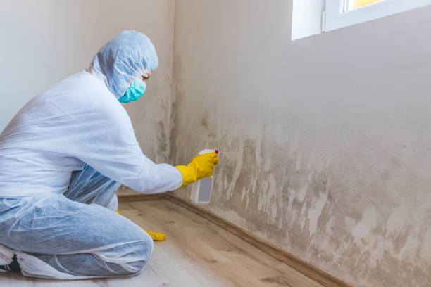 Hvac And Air Duct Mold Remediation inspection of HVAC system in Spring Hope